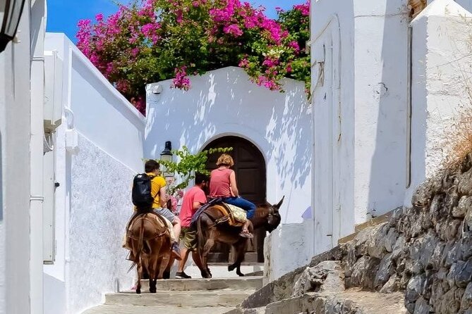 1 Day Rhodes Island Tour including Lindos and Medieval City - Who Should Book This Rhodes Excursion?