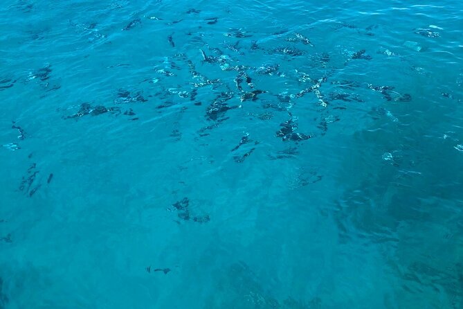 3-hour boat tour - Swimming, masks, and what to bring