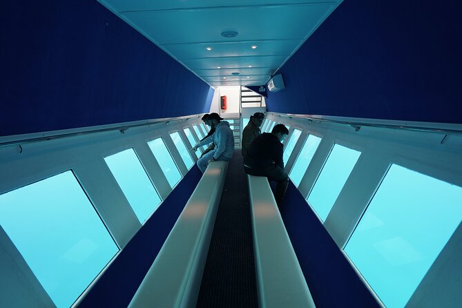 3 Hour Yellow Semi Submarine Swimming Cruise with Drinks Included! - Anthony Quinn Bay and its fish viewing