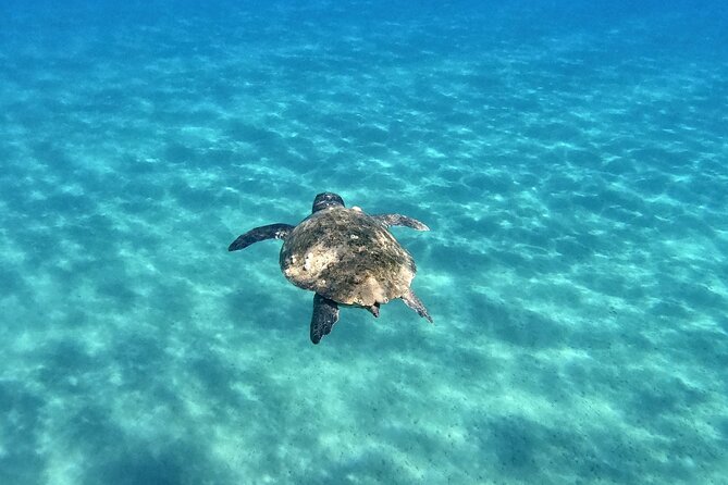 3 Hours Marathonissi Island Tour, Keri Caves and Turtles Spotting - Boat Comfort and Group Size