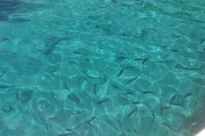 4-Hour Private Boat Tour in Corfu - Vido Island and the swimming breaks