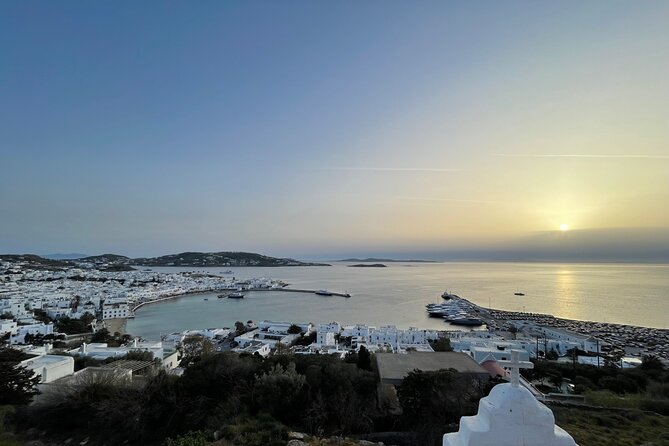 4 Hour Private Island Tour in Mykonos - Mykonos in a day - How flexible is the private format?