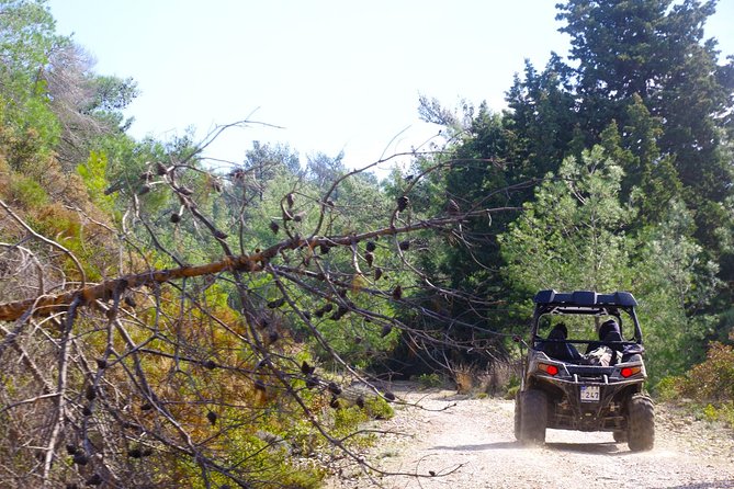 4x4 Buggy Adventures - Off-road Polaris Experience - Leaving the roads around Petaloudes