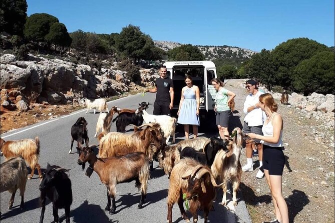 4x4 Safari Tour South Crete Agiofarago Matala - Odigitria Monastery and southern Crete’s religious life