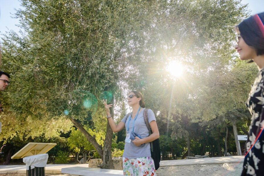 Acropolis: Acropolis and Parthenon Guided Walking Tour - The Theatre of Dionysus: where the route begins