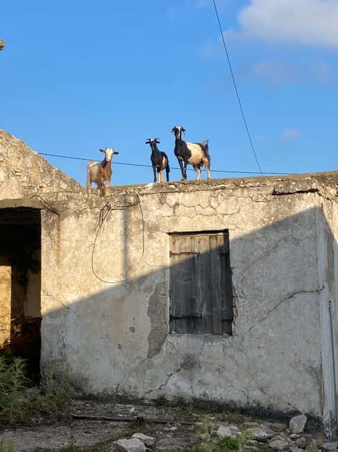 Agia Pelagia: Sunset or Morning Quad Tour & Ghost Town Visit - Achlada ghost town: eerie buildings and a real sense of place