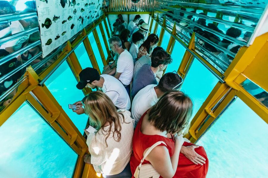 Agios Nikolaos: Semi-Submarine Cruise - Sea turtles, dolphins, and seals are possible extras