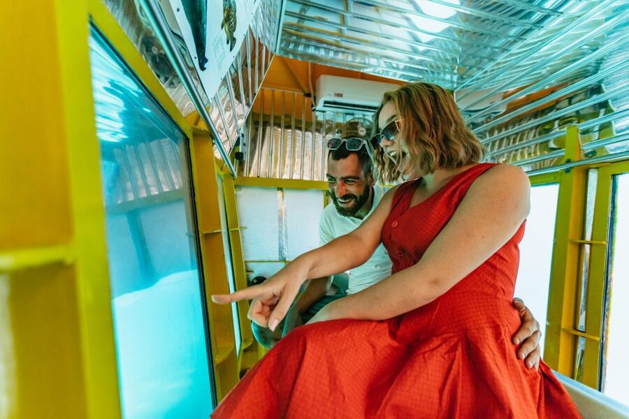 Agios Nikolaos: Semi-Submarine Cruise - What the $18.63 price includes