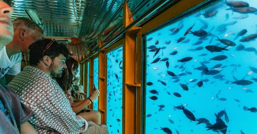Agios Nikolaos: Semi-Submarine Cruise - Watching fish around Agioi Pantes Island
