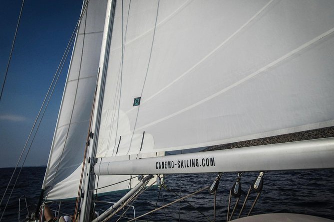 All inclusive day sailing tour from Naxos to the small cyclades - Photos that save the day for later