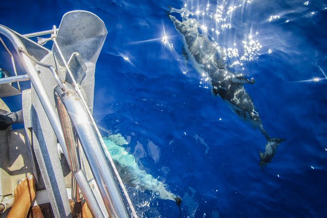 All inclusive day sailing tour from Naxos to the small cyclades - What the Small Cyclades route really means