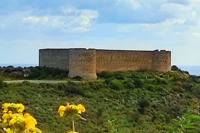 All Inclusive Full-day Private Tour of Crete Villages from Chania - Transport, pickup, and accessibility details