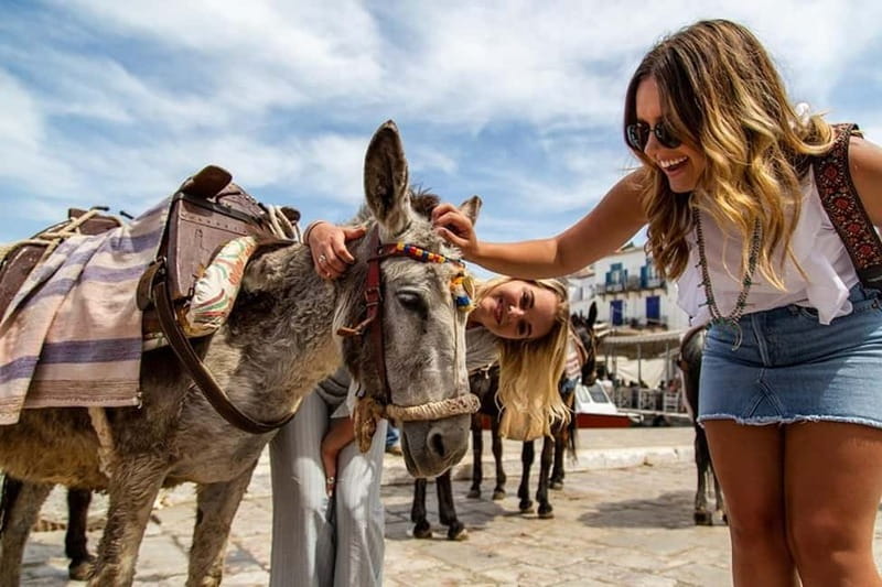 Athens Day Cruise – Since 1965 | Visit Hydra, Poros & Aegina - Key points to know before booking