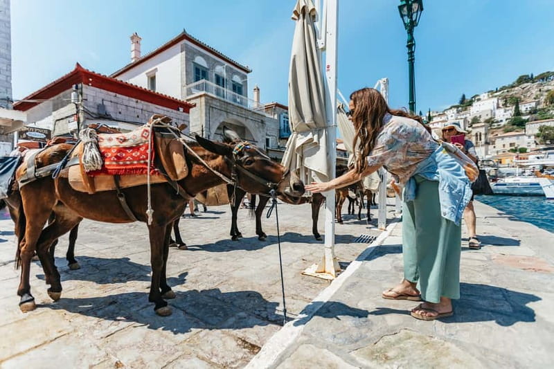 Athens Day Cruise – Since 1965 | Visit Hydra, Poros & Aegina - Three hours across the Saronic Gulf