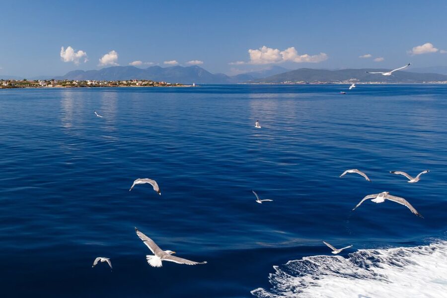 Athens: Guided Day Trip to Aegina Island with Swimming - Athena Aphaia, Aegina’s major ancient monument