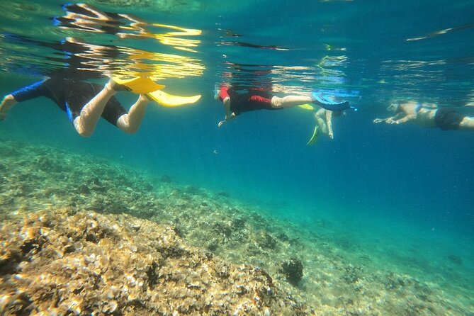 Athens, Nea Makri: Guided Small Group Snorkeling Boat Excursion - Who should book this excursion