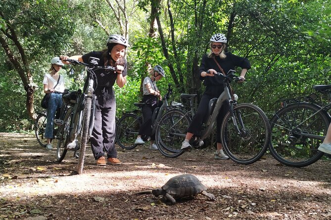 Athens Small Group Electric Bike Tour - The Acropolis from several sides
