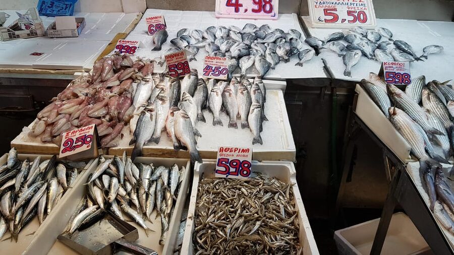 Athens: Traditional Greek food tour in hidden spots - Practical details before you book