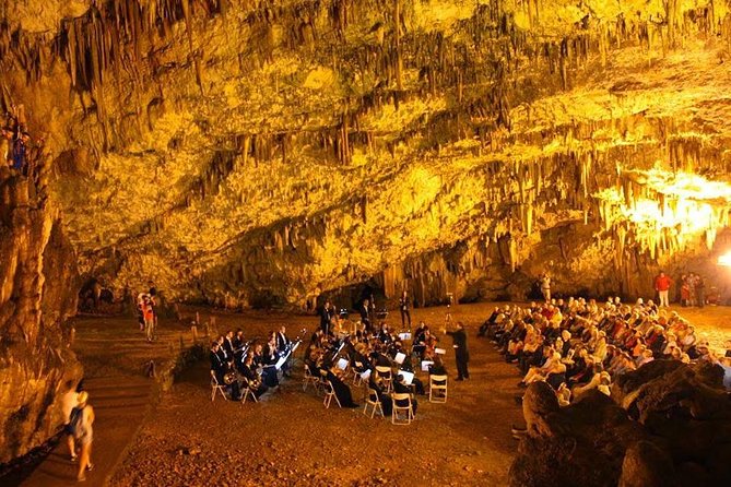 Best of Kefalonia: Half-Day Private Sightseeing Tour - The driver makes or breaks the day