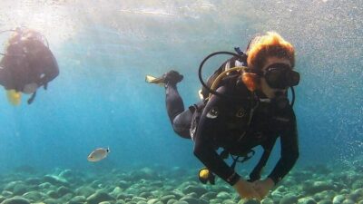 Chalkidiki: Scuba Diving for Beginners in Kassandra