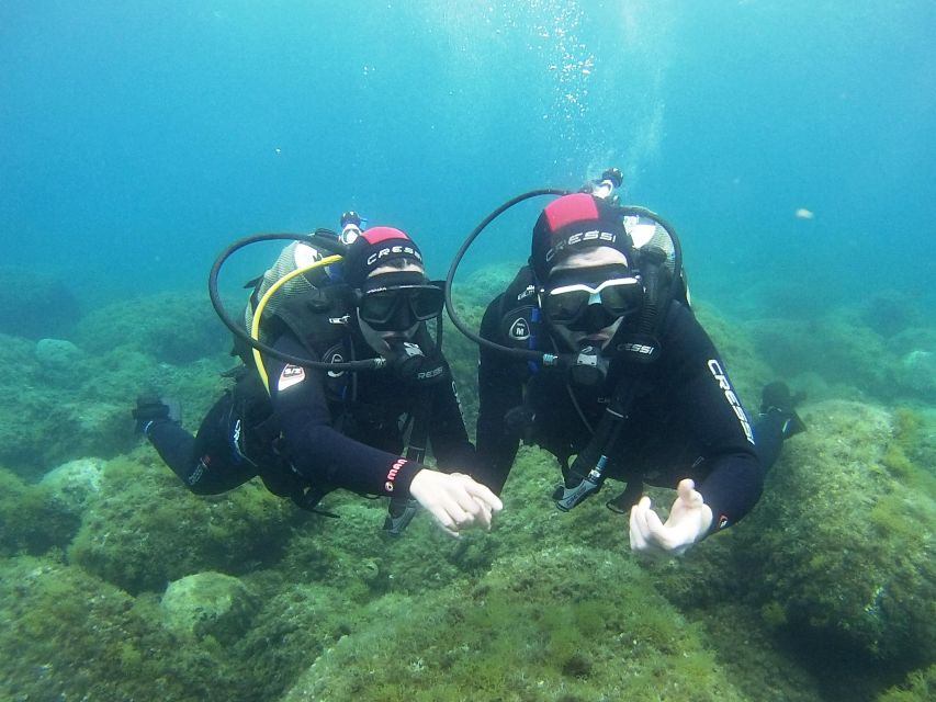 Chalkidiki: Scuba Diving for Beginners in Kassandra - Who Should Book This Experience