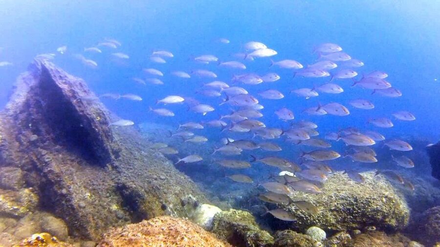 Chalkidiki: Scuba Diving for Beginners in Kassandra - What to Bring and What to Sort Out First