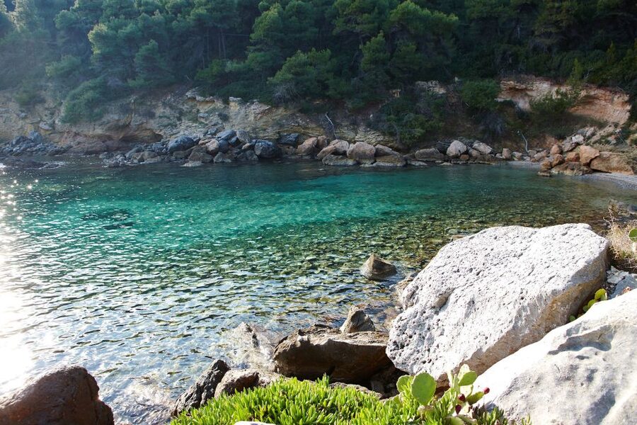 Chalkidiki: Scuba Diving for Beginners in Kassandra - How This Experience Compares With Snorkeling