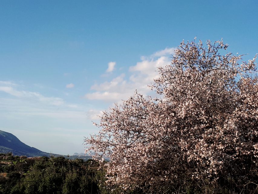 Chania: 7 Villages of Apokoronas Tour with Lunch - The guide can make or break the day