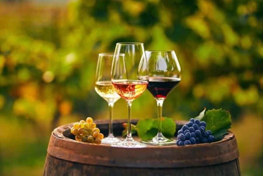 Chania Area: Food Tasting Tour with Winery Visit & Swim Stop - Vouves and the ancient olive tree