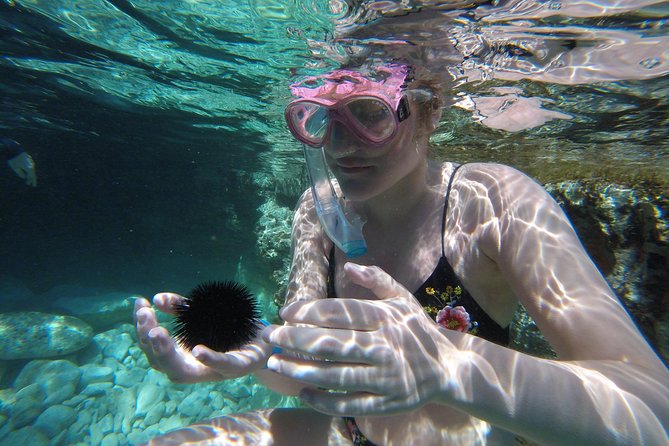 Chania: Boat Trip with Guided Snorkeling Tour & SUP - The first snorkeling stop
