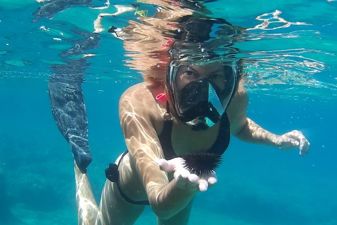 Chania: Boat Trip with Guided Snorkeling Tour & SUP - Caves, rocks, and the second or third stop