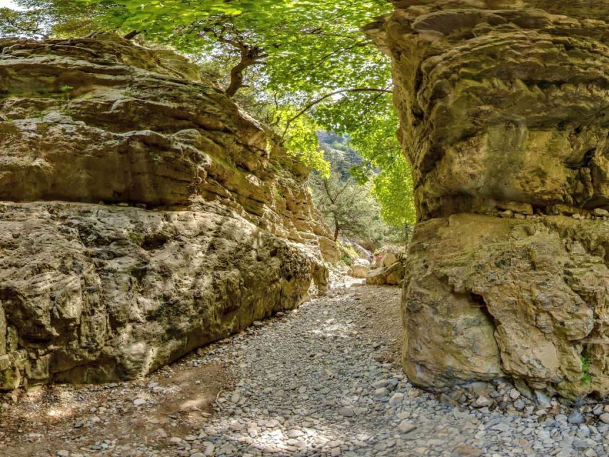 Chania: Imbros Gorge and Libyan Sea Day Tour - Key points to know before booking