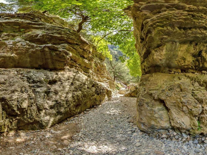 Chania: Imbros Gorge and Libyan Sea Day Tour - What to pack for the smoothest day