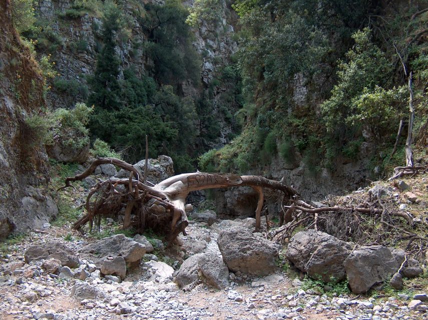 Chania: Imbros Gorge and Libyan Sea Day Tour - Who should book this Crete day trip?