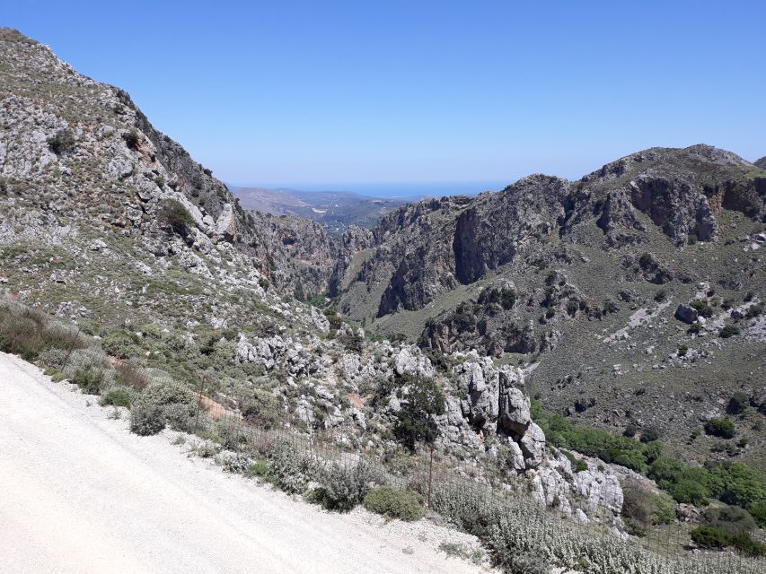 Chania: Milia Mountain Tour w/Lunch Olive Oil/Wine Tastings - Anoskeli Olive Mill and Winery