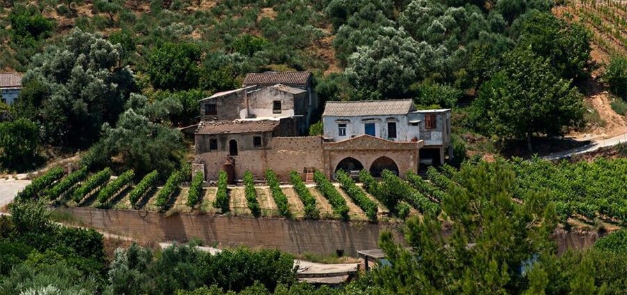 Chania: Milia Mountain Tour w/Lunch Olive Oil/Wine Tastings - Milia Mountain Retreat and the day’s main meal