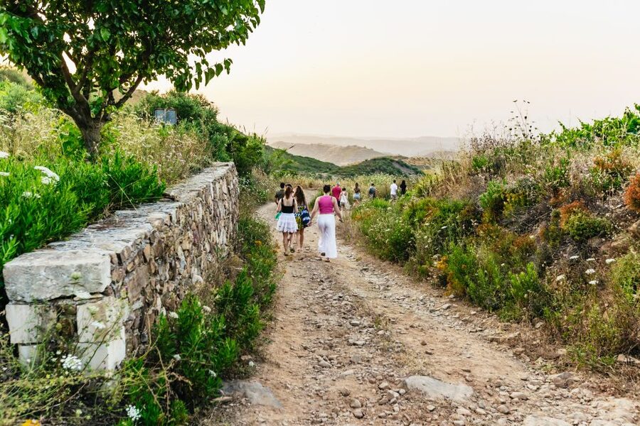 Chania: Off-Road Tour at Sunset - A Cretan meze dinner at a family-run tavern