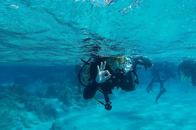 Chania: Scuba Diving for Beginners - Entering the Aegean from a beach near Almyrida