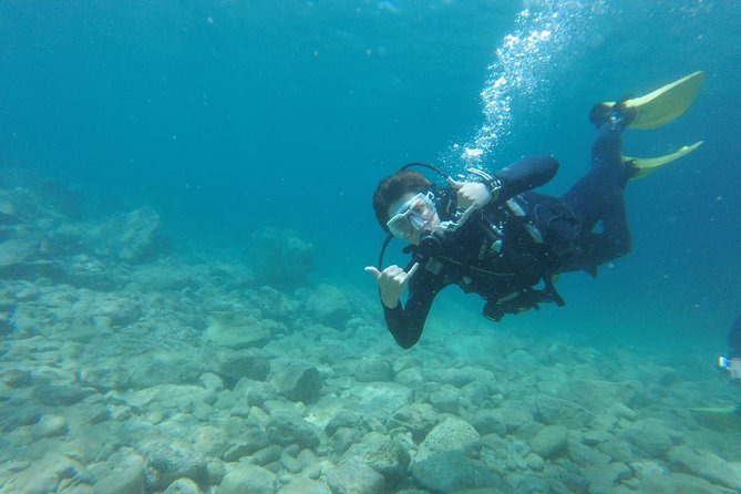 Chania: Scuba Diving for Beginners - Fish, sponges, lobsters, and the small details below