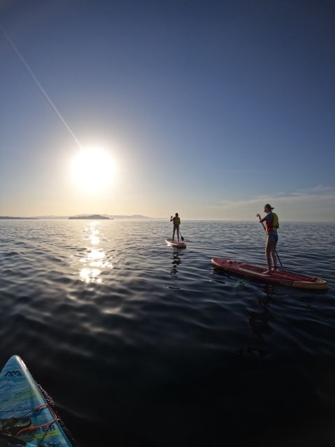 Chania: Stand-up Paddleboard Coastal Sunset Experience - Paddling along Chania’s coast