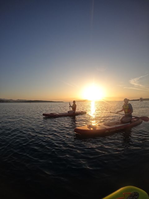 Chania: Stand-up Paddleboard Coastal Sunset Experience - Who will enjoy it most