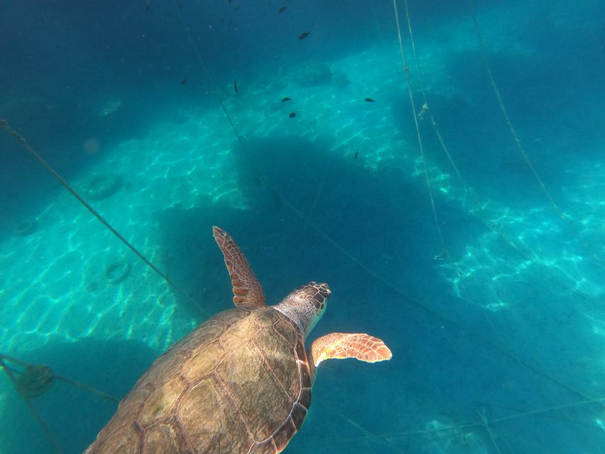 Chania: Stand-Up Paddleboard Small Group Tour - The small-group advantage