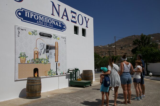 Citron Tasting and Distillery 1-Hour Guided Tour in Naxos - Seeing the family distillery