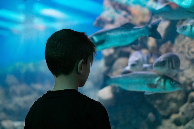 Corfu Aquarium Ticket with Tour Included - Key points to know before you go