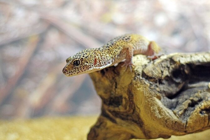 Corfu Aquarium Ticket with Tour Included - Is $12.07 a fair price?