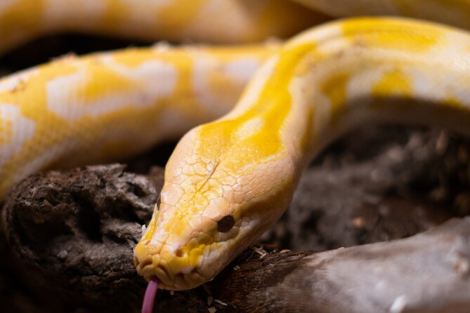 Corfu Aquarium Ticket with Tour Included - Choosing morning or afternoon