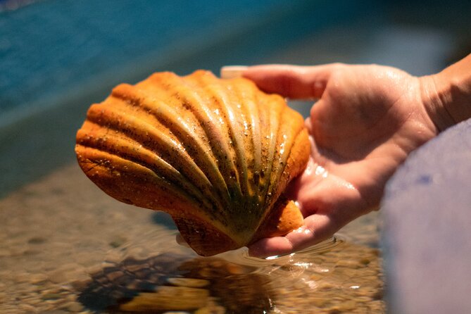 Corfu Aquarium Ticket with Tour Included - Practical details that affect your choice