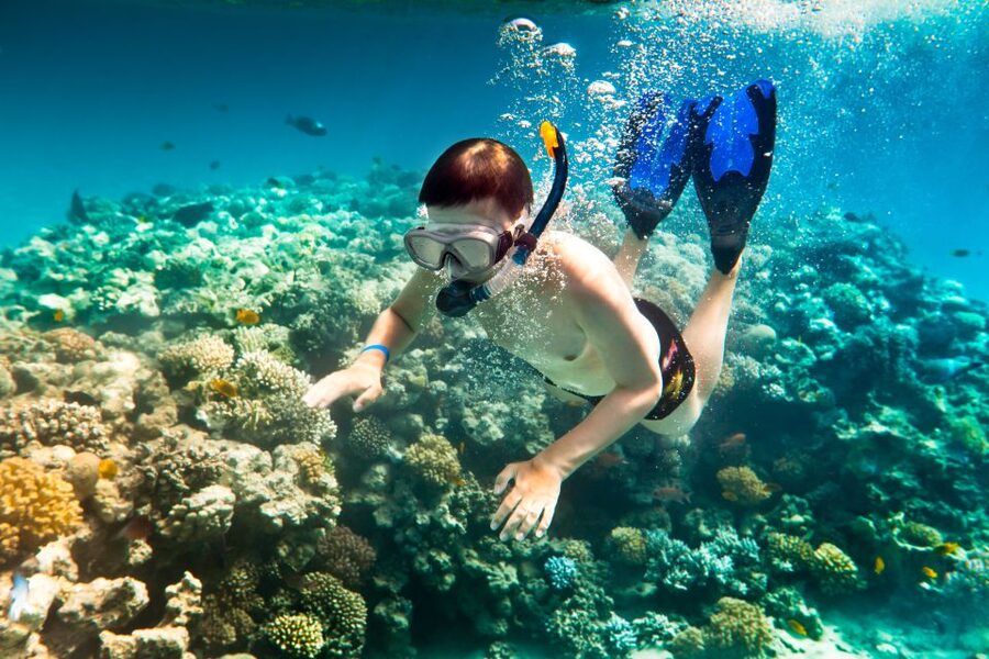 Corfu: Day Cruise to the Blue Lagoon with Visit to Syvota - Who should book this excursion?