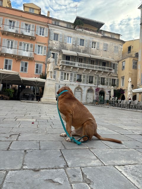 Corfu: Dog Sightseeing Tour - Why a dog changes a Corfu walking tour