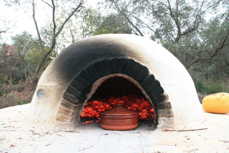 Corfu: Greek Cooking Class & Olive Oil Tasting - Learning what good olive oil tastes like